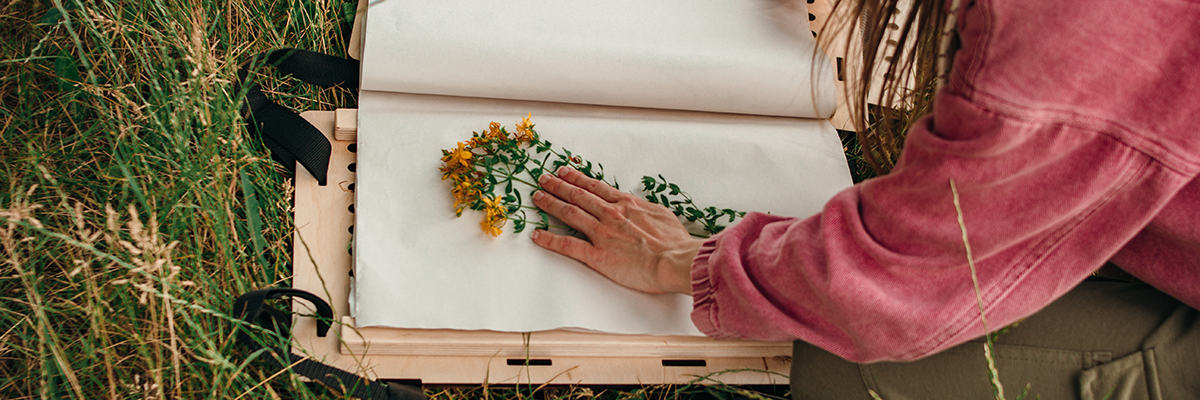olga-nayda-nJx-bOJcisc-unsplash_crop.png