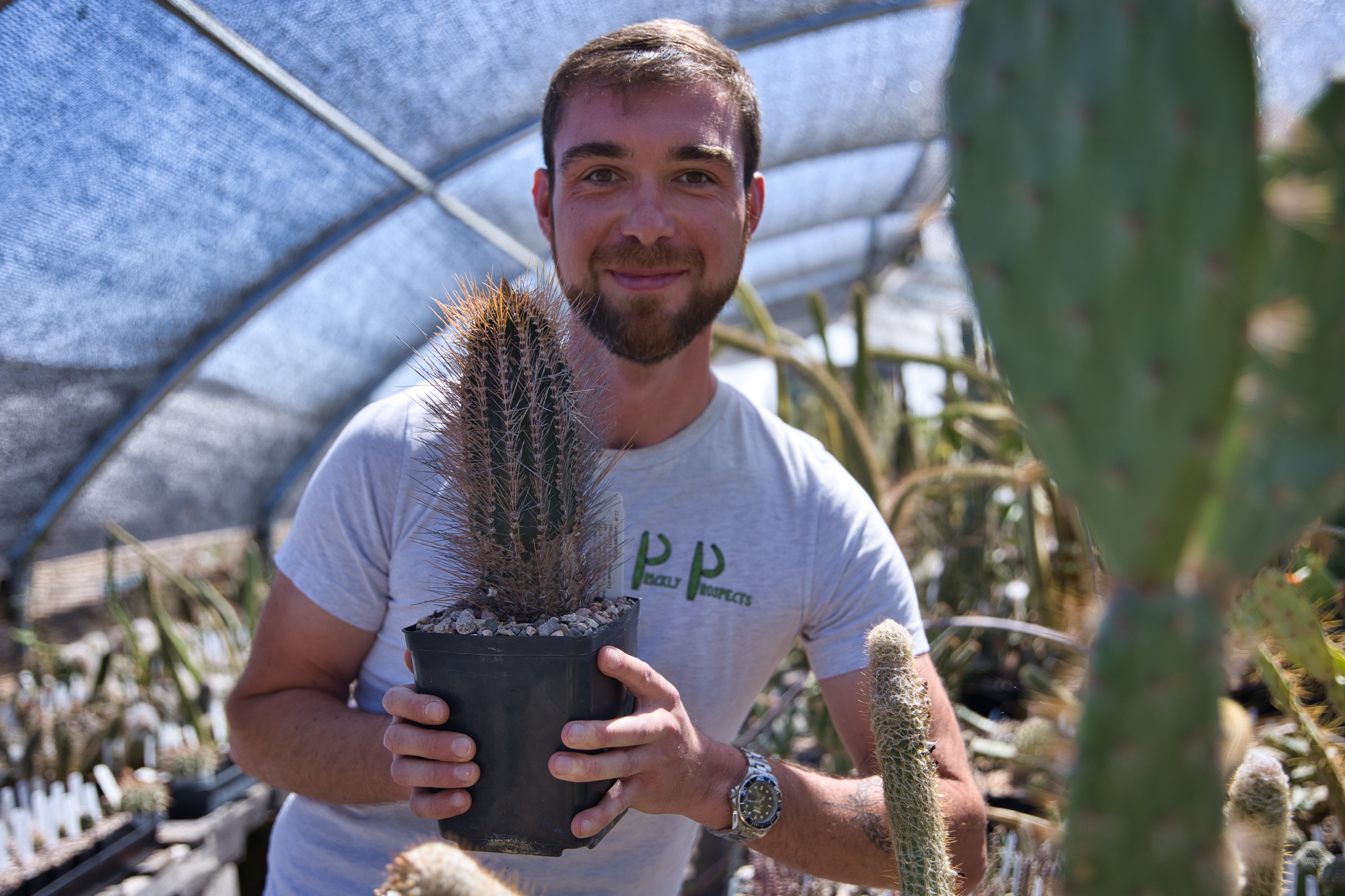 Conservation Cacti - IMG_6456.jpeg