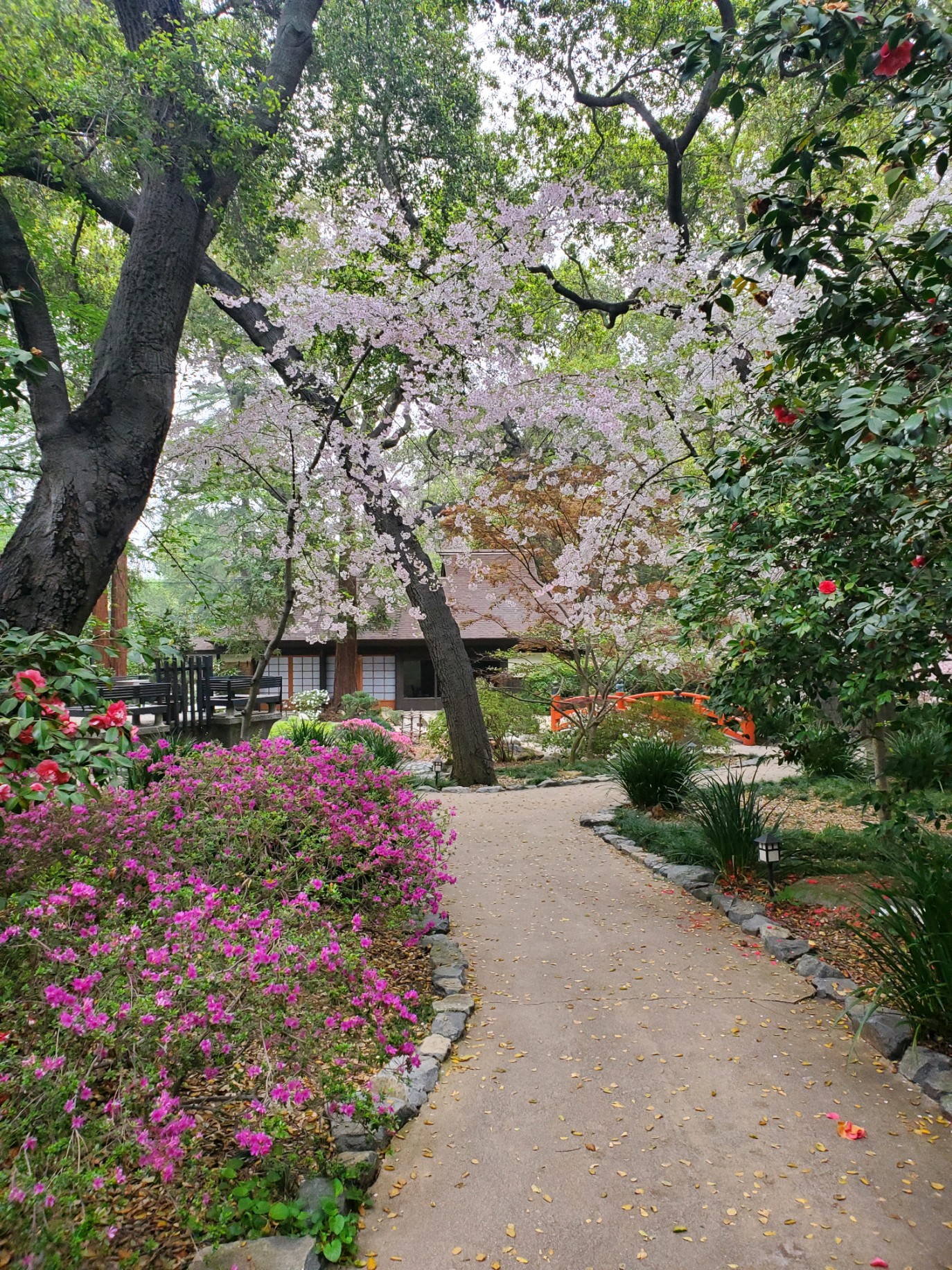 DescansoJapaneseGarden2023.jpg