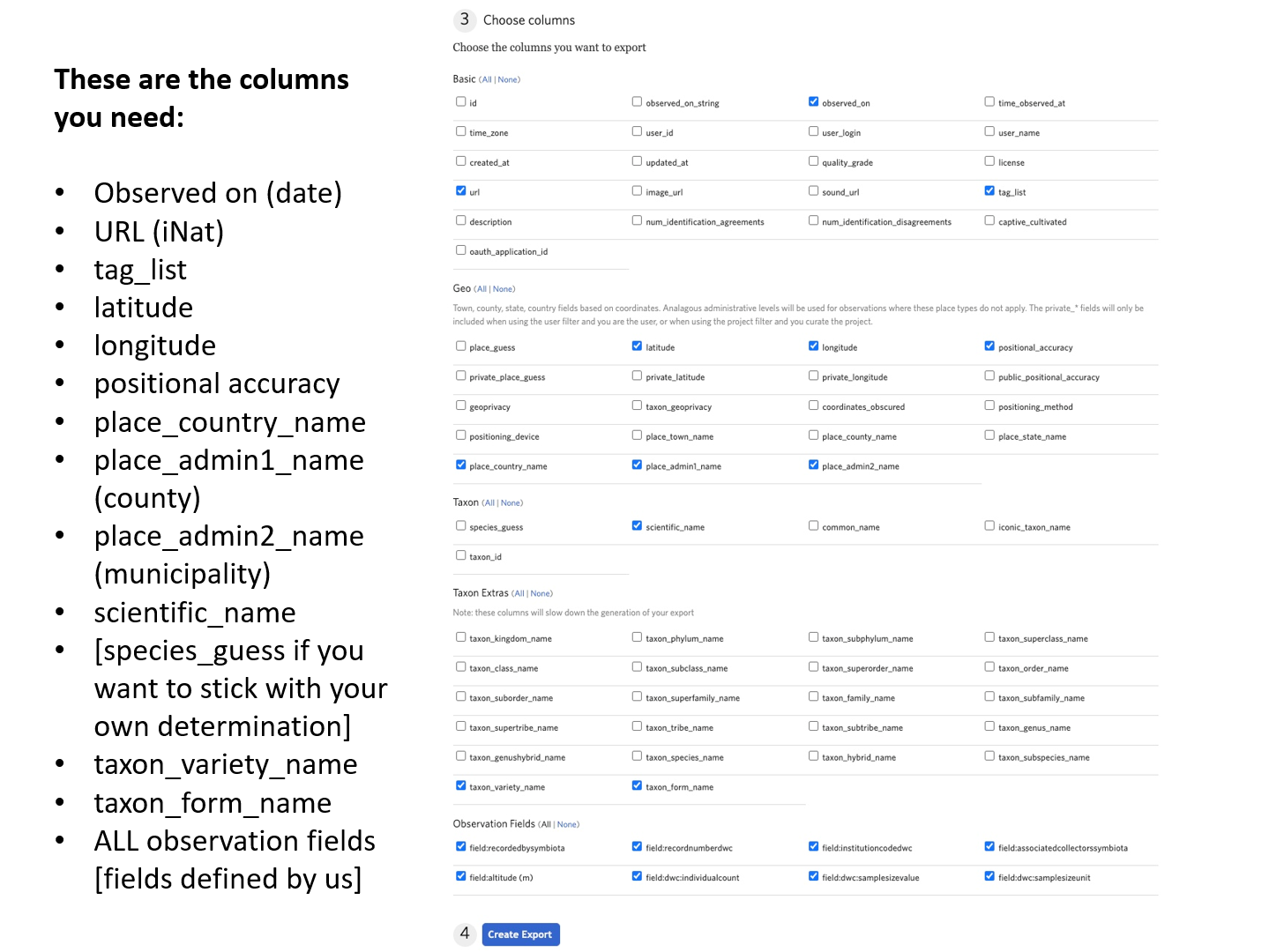 iNaturalistExport_fields.png
