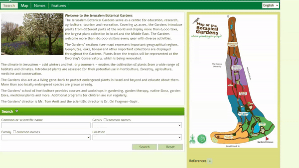 Eng - Hebrew JBG.gif.gif