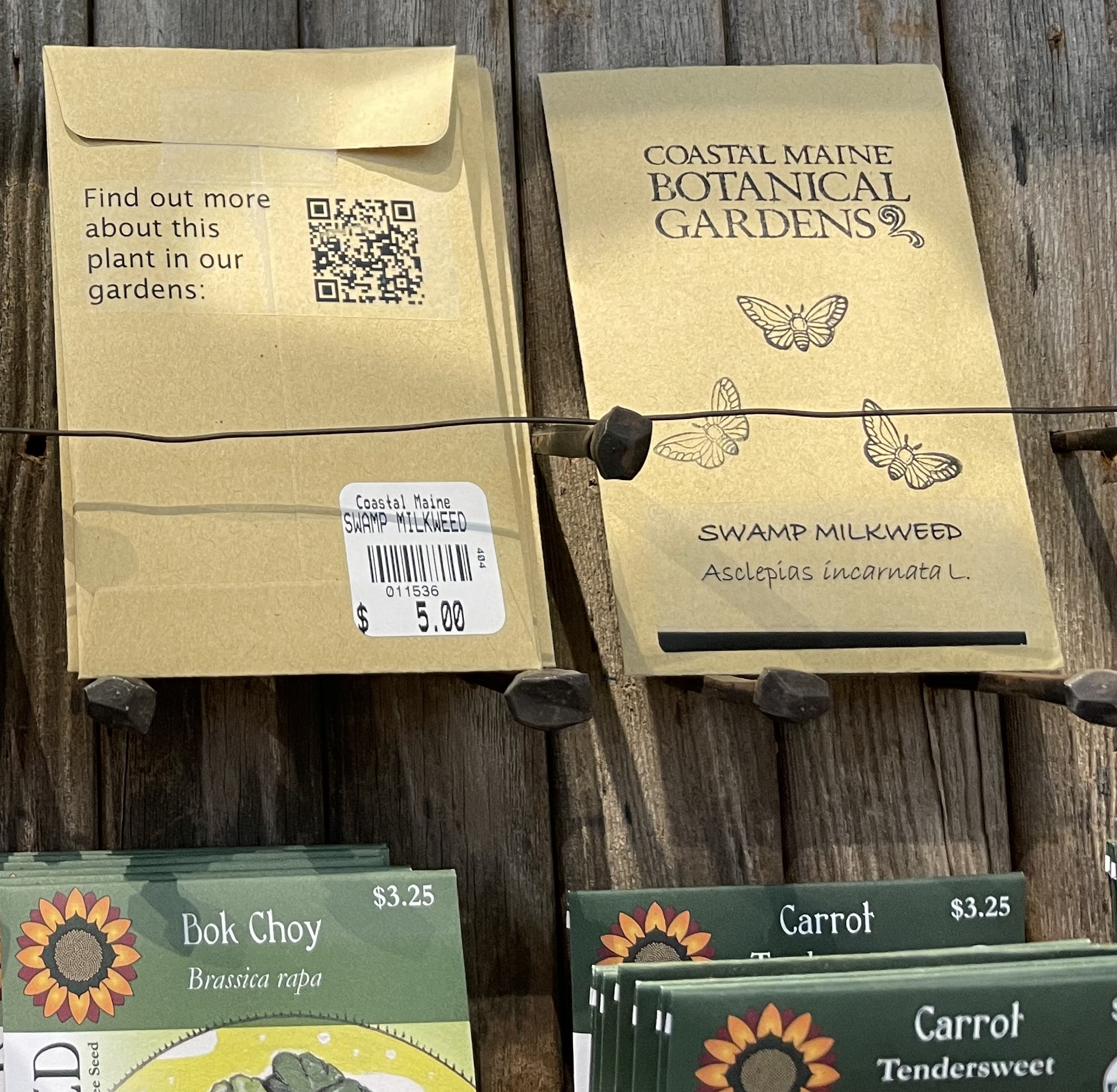 seed packets.JPG