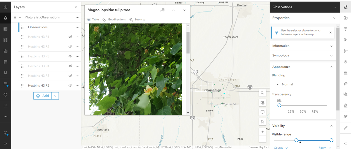 Screenshot 2024-09-12 124131.png