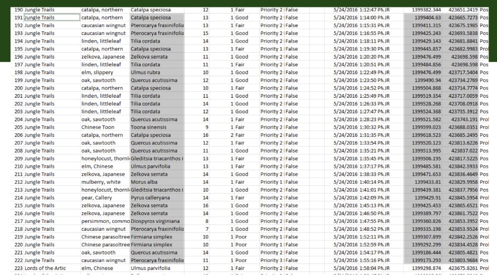 ThirdPartyContractor_Spreadsheet.jpg