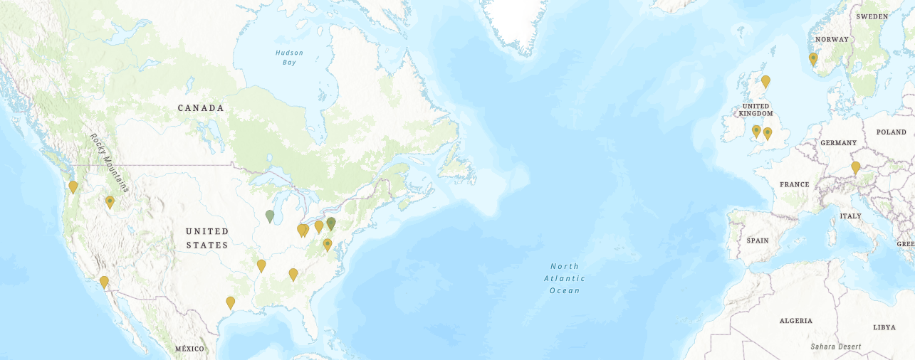 Screenshot 2025-08-11 095234.png