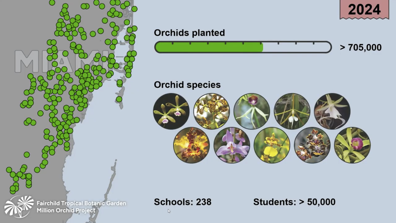 Screenshot 2026-03-24 130658.png